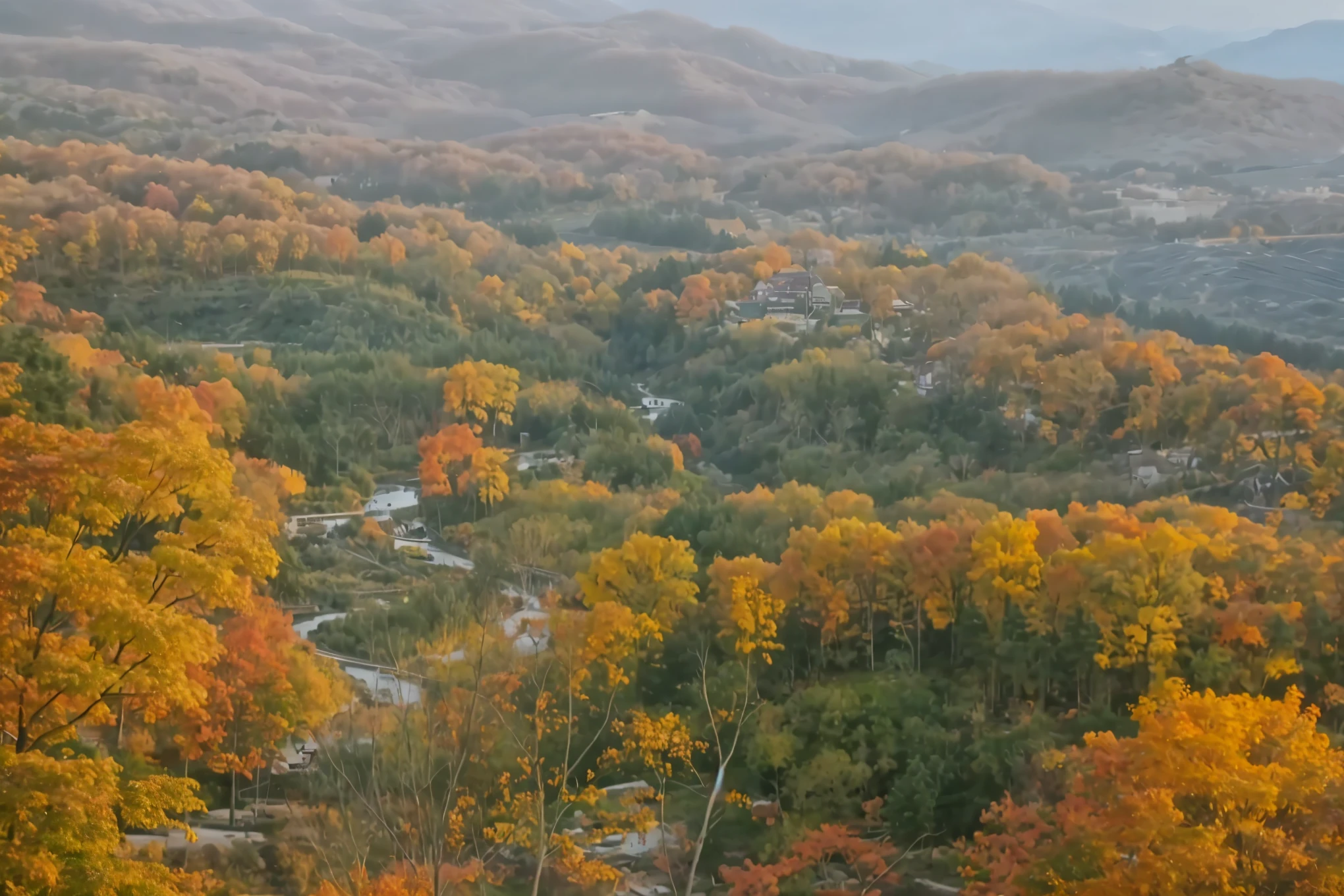 Highest quality、Spectacular views、Beautiful mountains in Japan、World Natural Heritage、Beautiful autumn leaves、A mountain that spreads out々、Orange and green、Forest、Shirakami-Sanchi