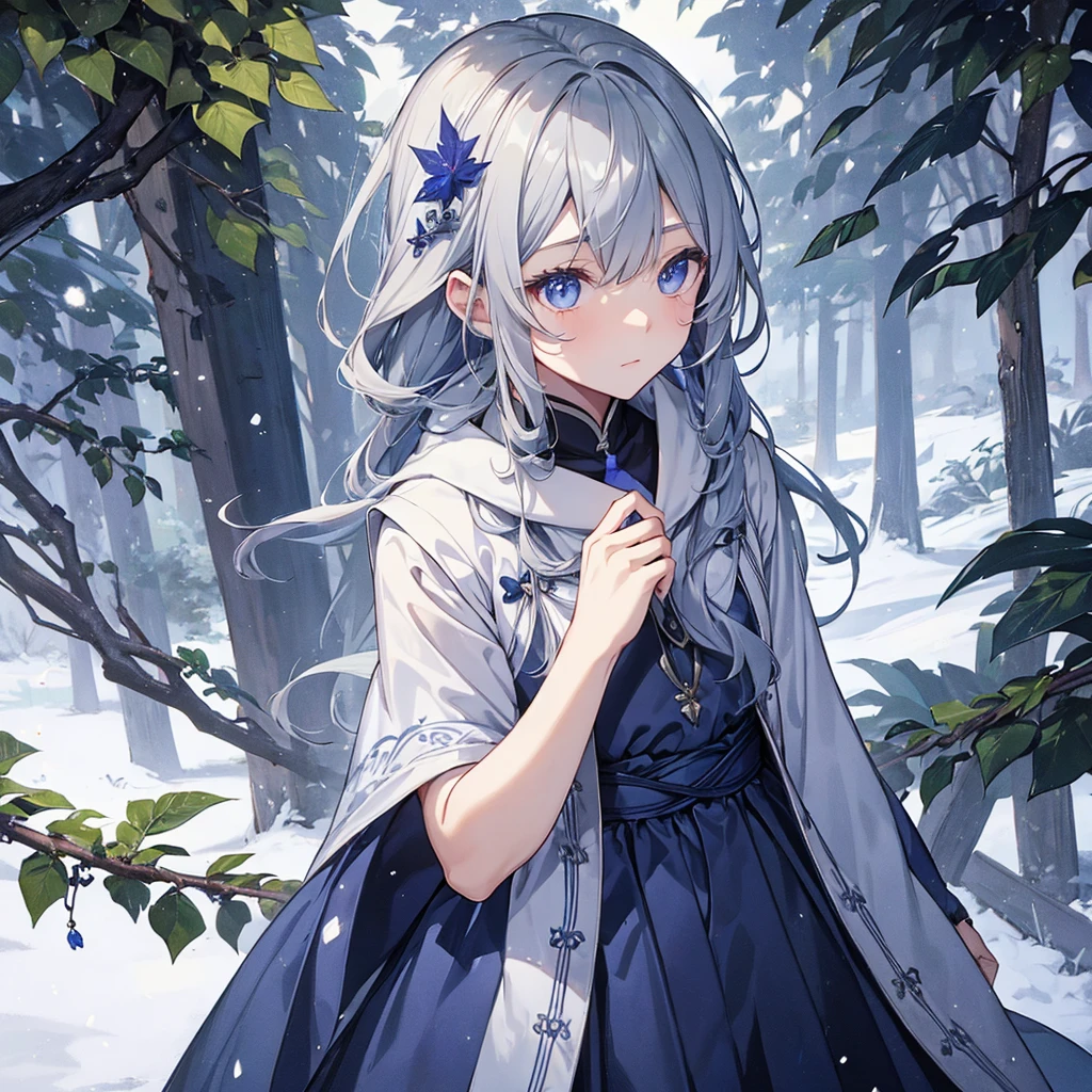 One Boy、Gray Hair、Lapis Lazuli Eyes、snow、Holly leaf patterned clothing