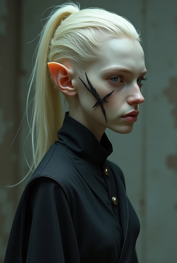 Très grand jeune homme à la silhouette maigre et osseuse, Thorn a des cheveux d'un blond pâle qu'il peigne en général soigneusement en arrière et des yeux perçants gris acier. il a un front bas, un grand nez abrupt et un visage long et anguleux coupé par deux cicatrices : une lui barrant l'arcade sourcilière et l'autre lui mangeant la joue.