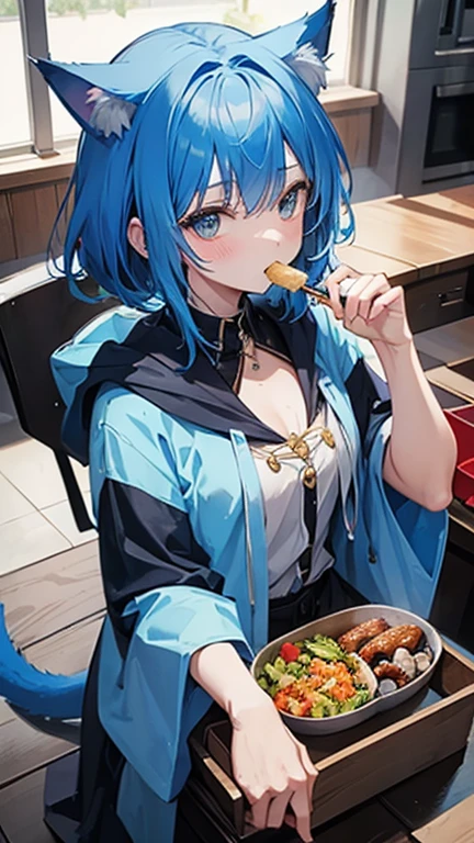 Blue Hair,Cat ear,Wizard,Food