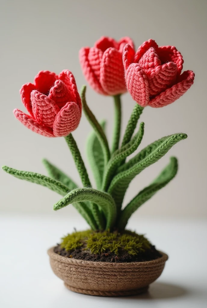 Please generate a real-shot photo, a panoramic photo of a tulip bonsai, the rose-red flowers and green branches are works of art made of crocheted fabrics.