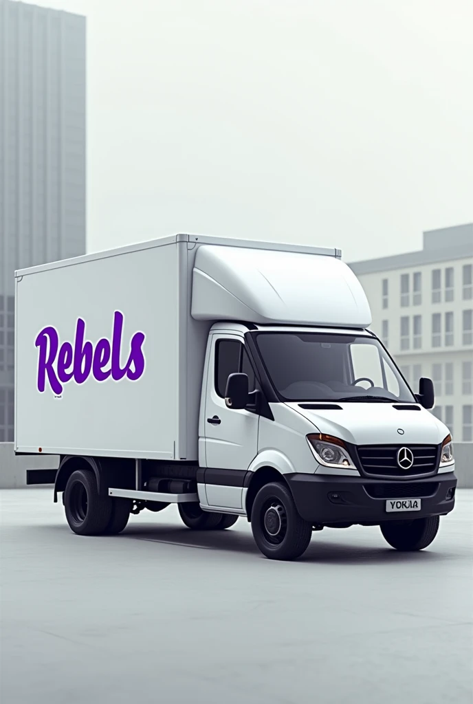 Truck from a company called REBELS.
The name REBELS must be purple and the truck can be white. The name REBELS is only on the side of the truck, in simple ways, elegant and modern