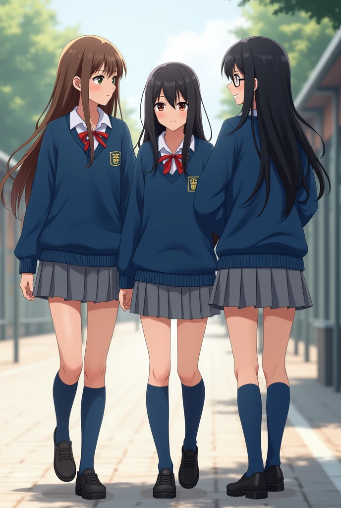 Three friends: with school uniform blue sweater, grey skirt, blue stockings and black shoes, a thin girl with long brown hair and brown eyes, one with long black hair and brown eyes , and the last one with long black hair, with glasses