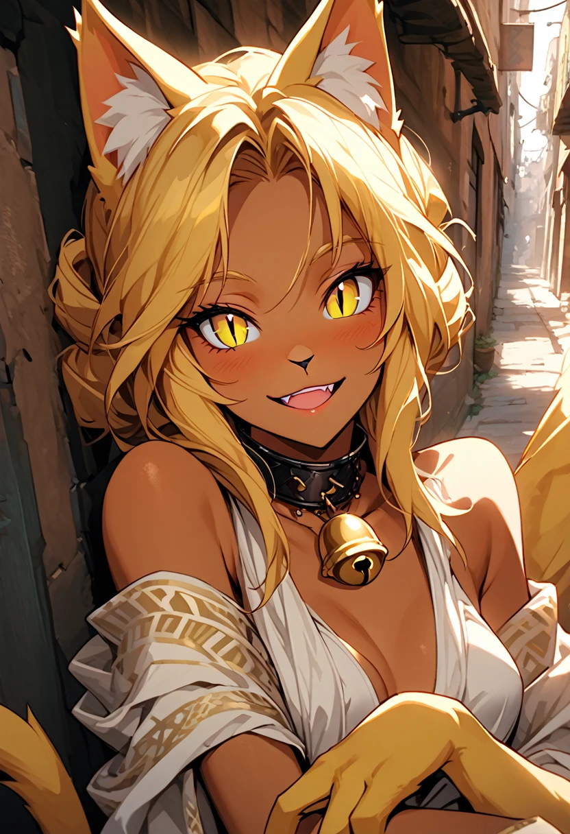 solo, female, cat girl, ancient middle eastern, tan skin, golden furry claws, medium golden hair, medium breasts, tied hair, luxurious bell collar, cat ears, cat tail, smile, slit pupils, slim, shawl, fit, lazy, sunny, back alley, resting, excited, close up