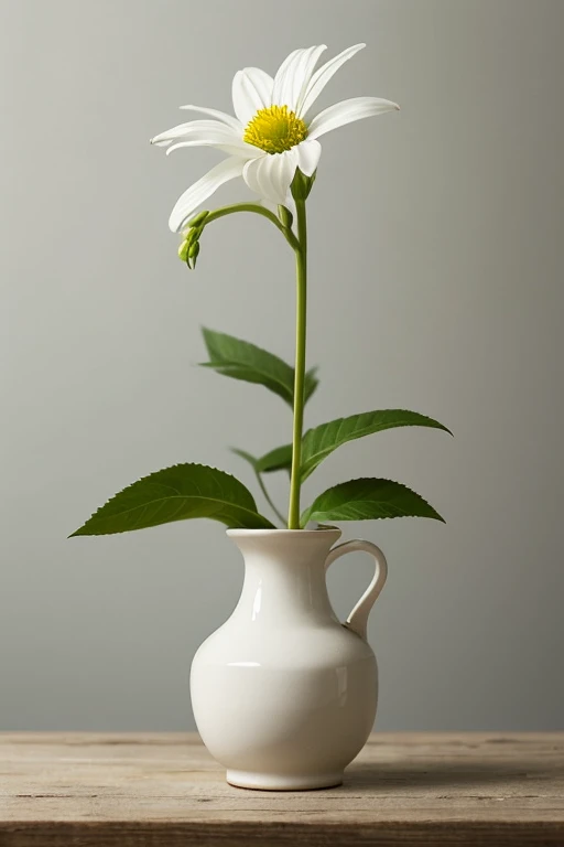 a single flower,white flower,vase,