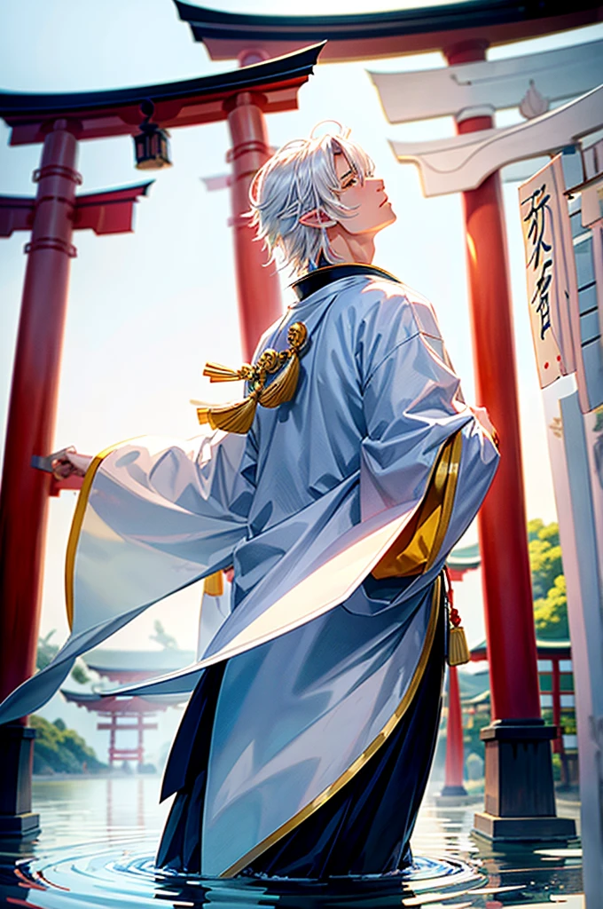 male, guy, from distance, detailed lips, full body, detailed eyes detailed background, side view, looking up, cinematic,
sesshomaru, white hair, pointy ears, yellow eyes,
Japanese shrine, torii, pond,