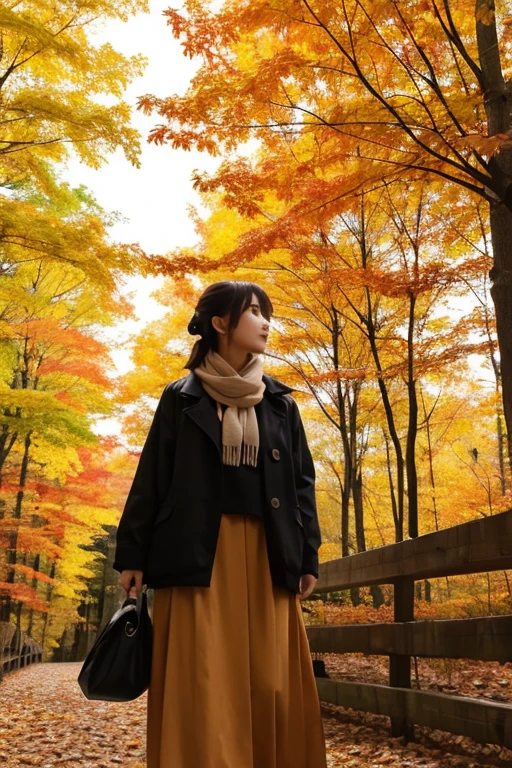forest、autumn leaves