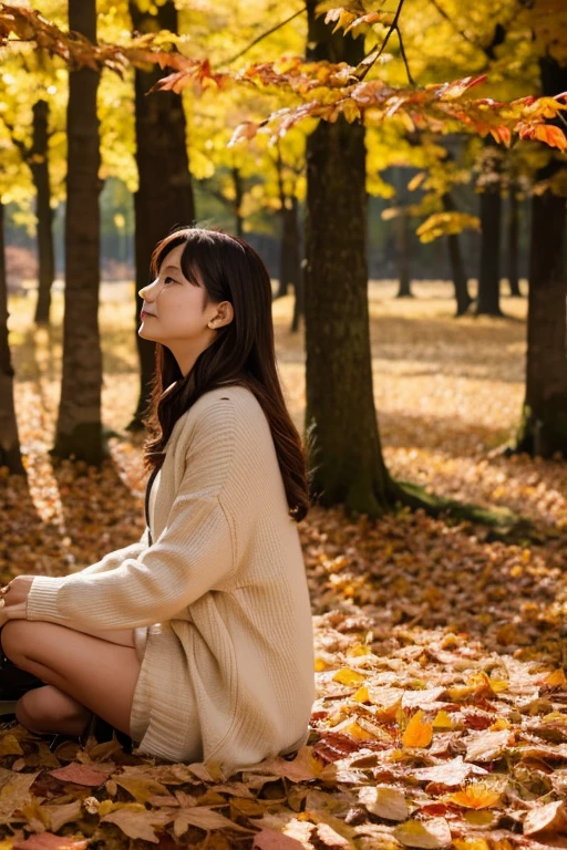forest、autumn leaves