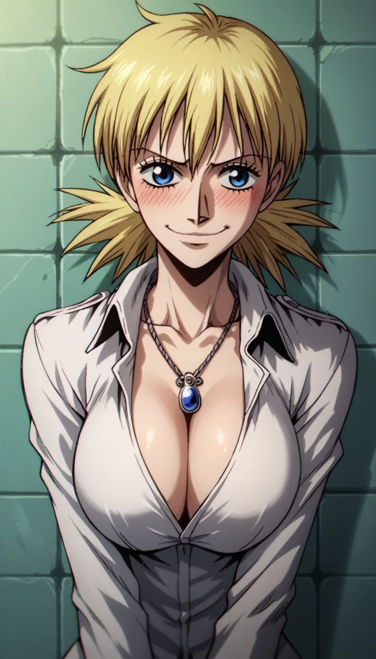 score_9, score_8_up, score_7_up, score_6_up, score_5_up, score_4_up, source_anime, BREAK
hellsing_ultimate_style, solo,1girl,portrait,  one piece, luffy, large breasts, cleavage, shy, blush, pendant necklace, smirk, against the wall