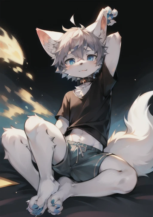 eyes with brightness, in a panoramic view, Character Focus Solo, shaggy, Furry male cat, Green-White fur for men, DarkGreen color eyes, White hair(The long),Wear black shorts and shorts,CasualCloths, Regular T-Shirt, Young style,height of one meter seven,pretty, There is a tail,happy expression, slim body, gentle