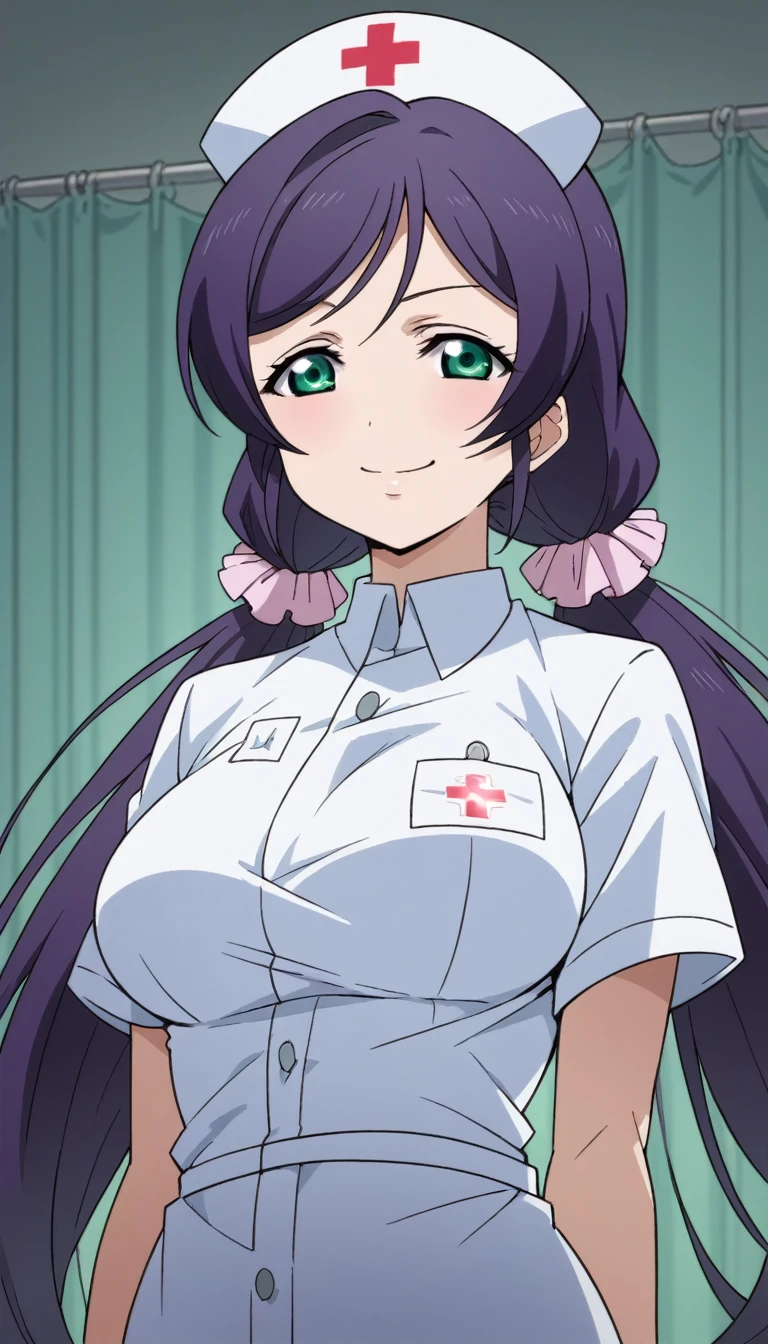 Score 9, Score 8 up, Score 7 up, The evaluation is questionable,
Detailed Background, Glowing Skin,Nozomi-san always, Green Eyes, Purple Hair, Twin tails, low Twin tails, Scrunchie, Long Hair,Big Breasts,,one woman,nurse's outfit,posing,,large breasts,whole body,thin,smirk,From before night,hospital,anime style,high quality,masterpiece,highly detailed,smile,whole body