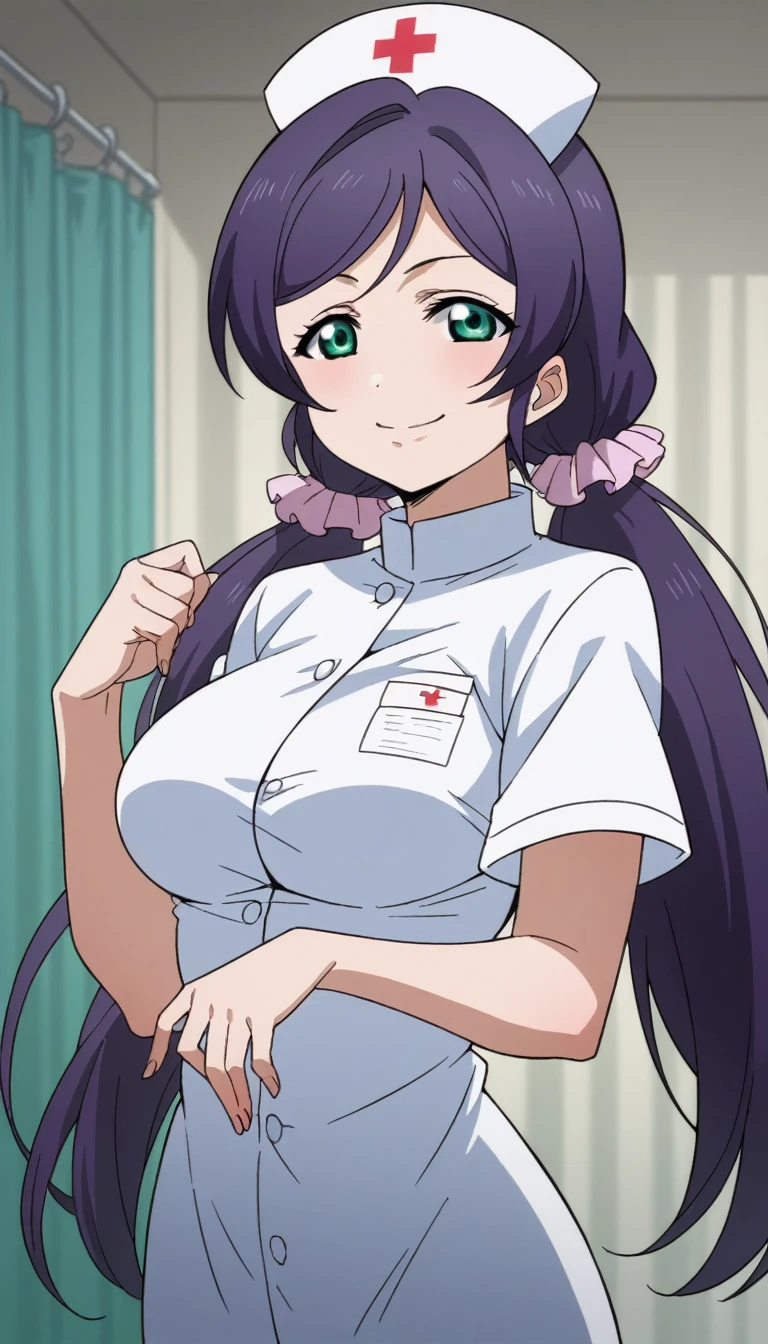 Score 9, Score 8 up, Score 7 up, The evaluation is questionable,
Detailed Background, Glowing Skin,Nozomi-san always, Green Eyes, Purple Hair, Twin tails, low Twin tails, Scrunchie, Long Hair,Big Breasts,,one woman,nurse's outfit,posing,,large breasts,whole body,thin,smirk,From before night,hospital,anime style,high quality,masterpiece,highly detailed,smile,whole body