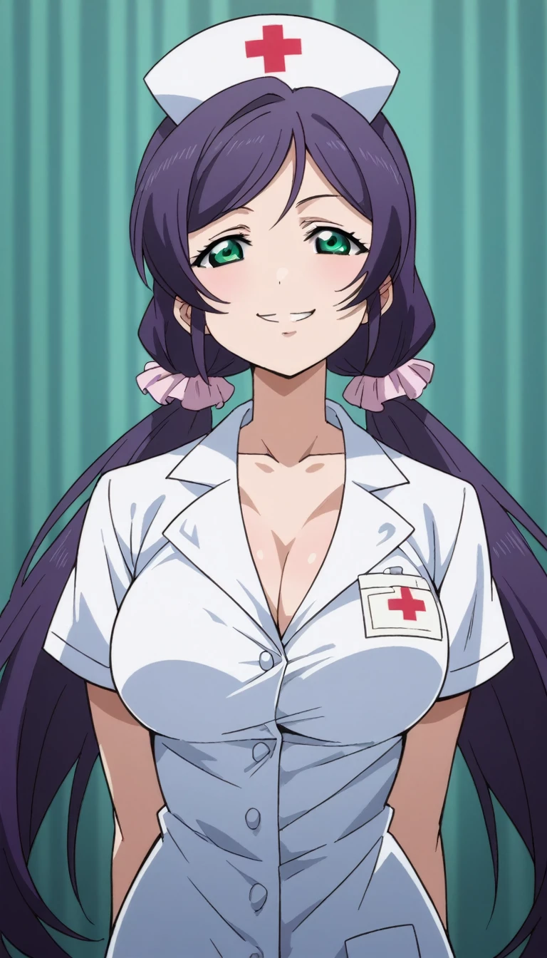 Score 9, Score 8 up, Score 7 up, The evaluation is questionable,
Detailed Background, Glowing Skin,Nozomi-san always, Green Eyes, Purple Hair, Twin tails, low Twin tails, Scrunchie, Long Hair,Big Breasts,,one woman,nurse's outfit,posing,,large breasts,whole body,thin,smirk,From before night,hospital,anime style,high quality,masterpiece,highly detailed,smile,whole body