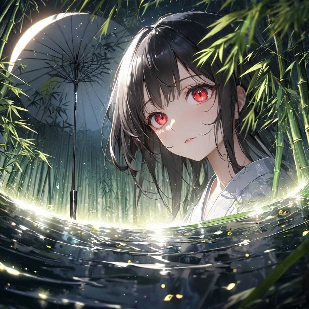 最high quality, wonderful_delicate, wonderful delicate eyes, Super detailed, beautiful, 8k , One girl, Red eyes, evil, Facial Contour,(Absurd, High resolution, Super detailed), masterpiece, The perfect solution, wonderfulディテール, Super Detailed,  Ray Tracing, Depth of written boundary, Cinema Lighting, Ray Tracing, 超High resolution, Attention to detail, 最high quality, High resolution, high quality, Awards, Super Detail, masterpiece, 8k, 超High resolution, Attention to detail, 最high quality, High resolution, high quality, Awards, Super Detail, masterpiece, 8k, Digital Art, Anime Coloring、A dynamic ink painting of a bamboo forest, Black and white paint, wonderful芸術, wonderful奥行き感, View from the ground, 世界で一番beautiful竹林, Bamboo leaves shining in rainwater, moon\(pale\) In light cloudy weather, Beautiful woman\(Aristocrats of Ancient Japan, beautiful着物, beautiful長い黒髪\) looking up at the moon at the center with a follower in simple clothes holding an umbrella, Fireflies flying around, Bamboo leaves are arranged three-dimensionally in the foreground.