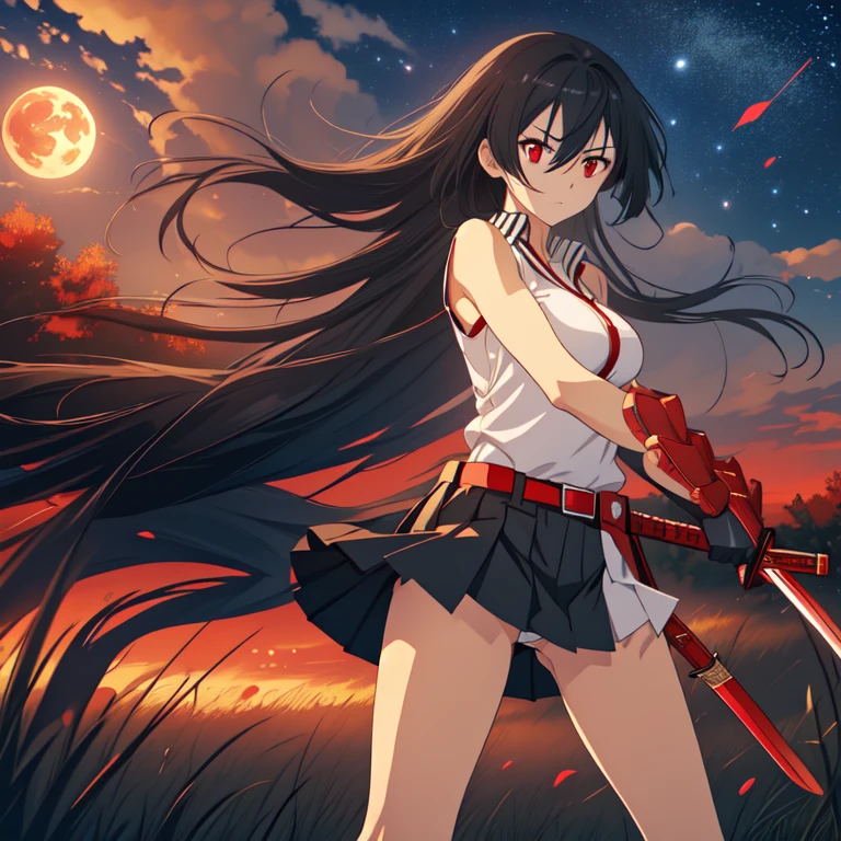 8k, Whole body, Akame, long hair, black hair, big breast, white panties, black miniskirt, black clothes, pleated skirt, belt, red eyes, sword, katana, sheath, 1 girl, holding sword katana in fighting stance, Whole body, rivals fighting with katana swords,  grassland landscape Outdoors, on one side, Dark, evening, Red full moon in the background in a sky with stars,   High resolution, absurdities, 