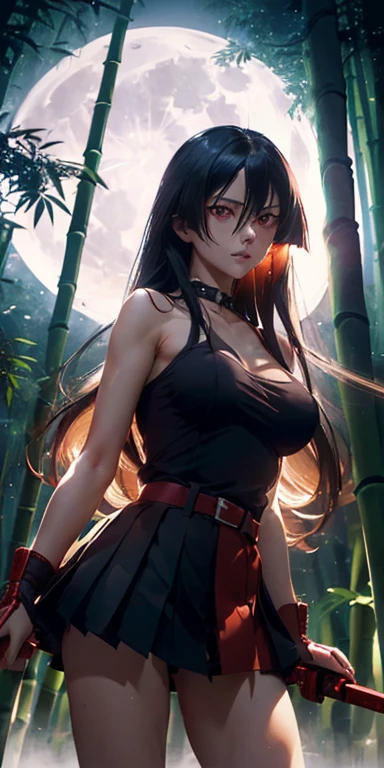 (masterpiece, Best Quality:1.3), (Upper part of the body:1.3), Akame, long hair, black skirt, black clothes, pleated skirt, belt, red eyes sword, katana, sheath, perfect face, expressive eyes, 1 woman, looking at the viewer, beautiful body, big chest, beautiful, cheered up, lora,1 woman, Long straight shiny black hair,  (cinematic lighting, realist, dreamlike, charming atmosphere:1.5), (in the bamboo forest, Midnight, big full moon:1.3) red moon, holding a katana sword, sword dripping blood. black panties, blood stains on the thighs, blood stains on the arms, tits.