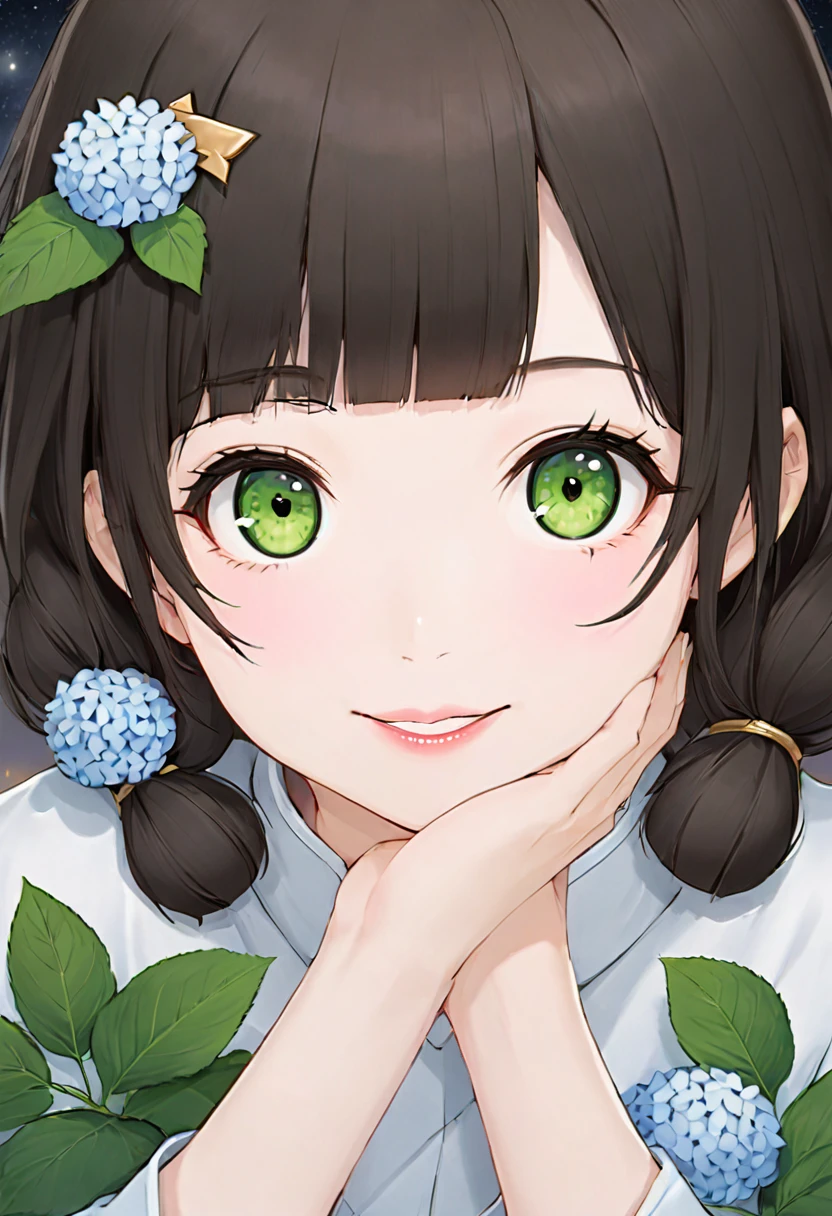 masterpiece, Highest, night, full moon, 1 female, Mature Woman, Chinese style, ancient China, sister, Royal Sister, smile, Dark brown hair, Black Hair, Princess Cut, Braiding, Curly Hair, Double Ball Head, Pale pink lips, Calm, intellectual, Medium Hair, Green Eyes, hairpin, Hydrangea, Delicate face, Face close-up, Hands close-up