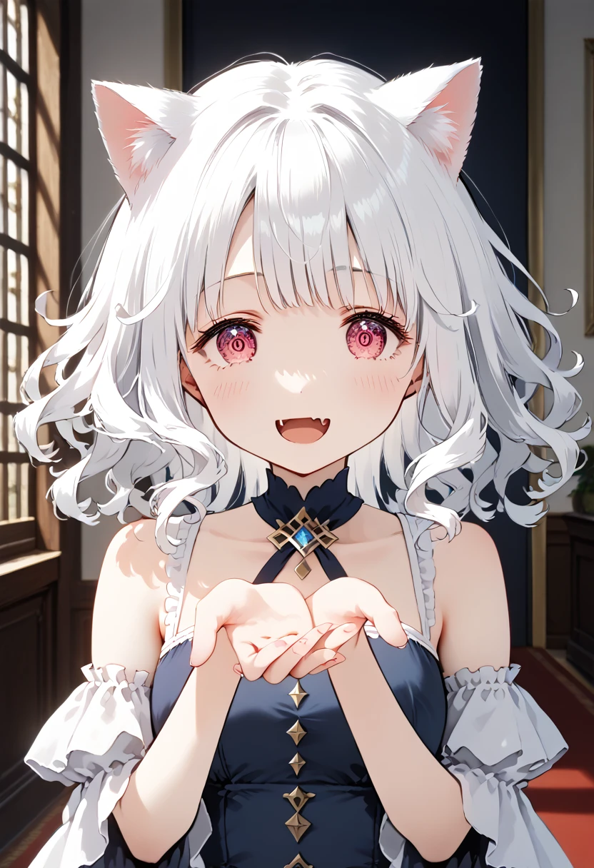 score_9, score_8_up, score_7_up, 1girl, (masterpiece), (best quality), (ultra detailed),(disheveled hair),(illustration), (1girl), An anime girl with a pair of Cat ears, the inside of the ears a soft white fluff, her eyes wide and curious, she Excited and happy, beautiful eyes, white hair, pink eyes, good art, good drawing, anime 2d, 2d, cute, 2 hands and 5 fingers on each hand, beautiful hands, good drawn hands, 4k, 8k,