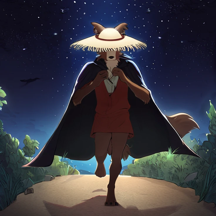 Beastars style brown furred wolf wearing a One Piece straw hat, wearing a slightly oversized red shirt and wearing a black cape, straw hat on his head, triumphant walk, ears poking through the straw hat, mão direita segurando straw hat on his head, shadow of the straw hat covering the eyes, iris of the right eye shining like a ray of light, destruction scene in the background, night with few stars, anime art style.