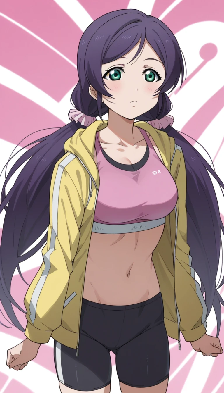 Score 9, Score 8 up, Score 7 up, The evaluation is questionable,
Detailed Background, Glowing Skin,Nozomi-san always, Green Eyes, Purple Hair, Twin tails, low Twin tails, Scrunchie, Long Hair,Big ,navel, jacket, bike shorts, sports bra, yellow jacket, hoodie, collarbone, long sleeves, white sports bra, white bike shorts, pink sports bra, pink bike shorts,Anime Style,high quality,masterpiece,Very detailed