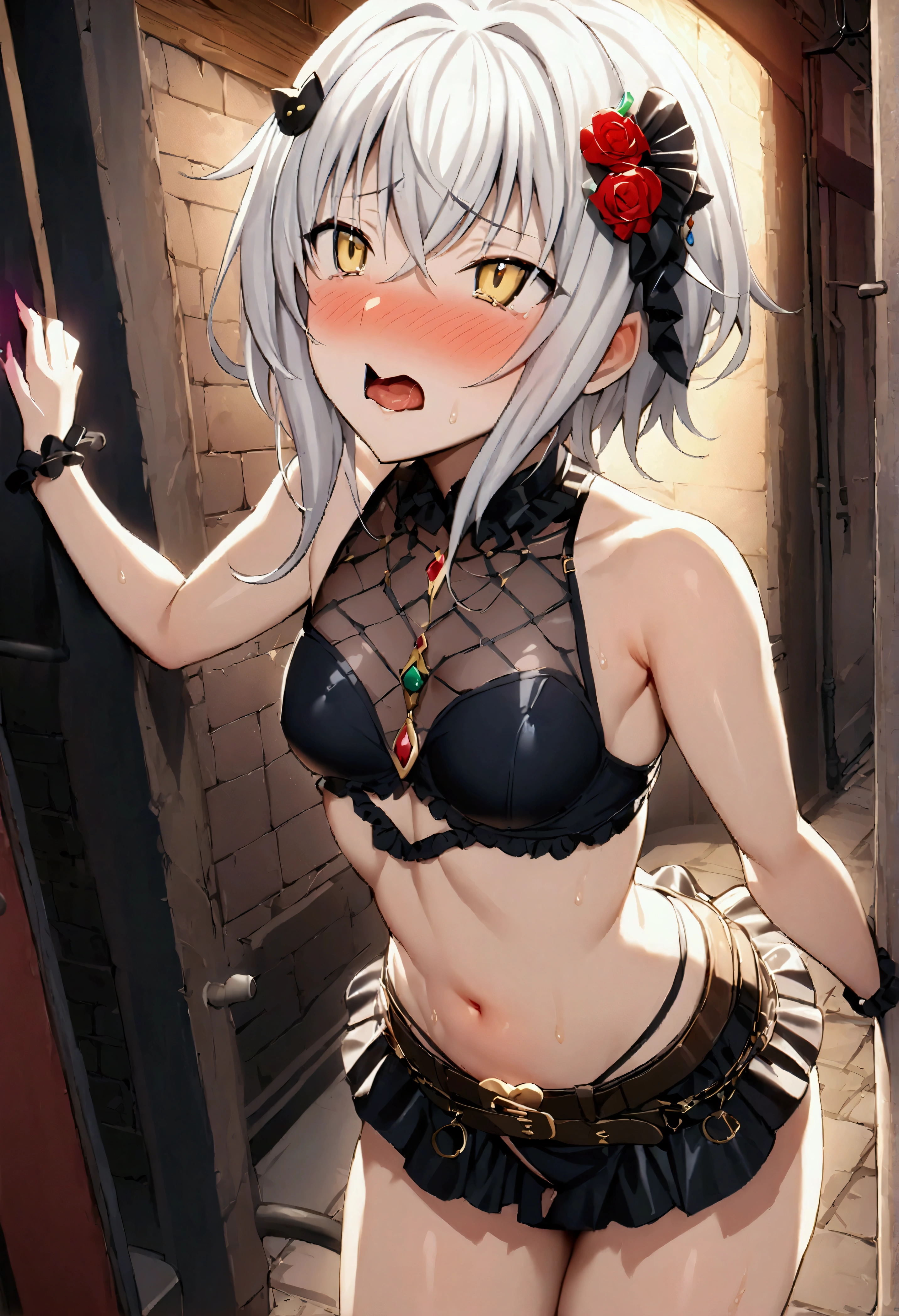 NSFW,masterpiece,Highest quality,High resolution,Very detailed,Tacheng kitten\(High School DXD\),Gray Hair,Short Hair,Yellow Eyes,hair ornaments,Small breasts,Frilled shirt,Crop top,Micro Mini Skirt,belt,accessories,gem,Nightlife,Alley,barker,(Ecstasy face),Embarrassed,blush,(Prostitute),(Sex slave),(Have sex)