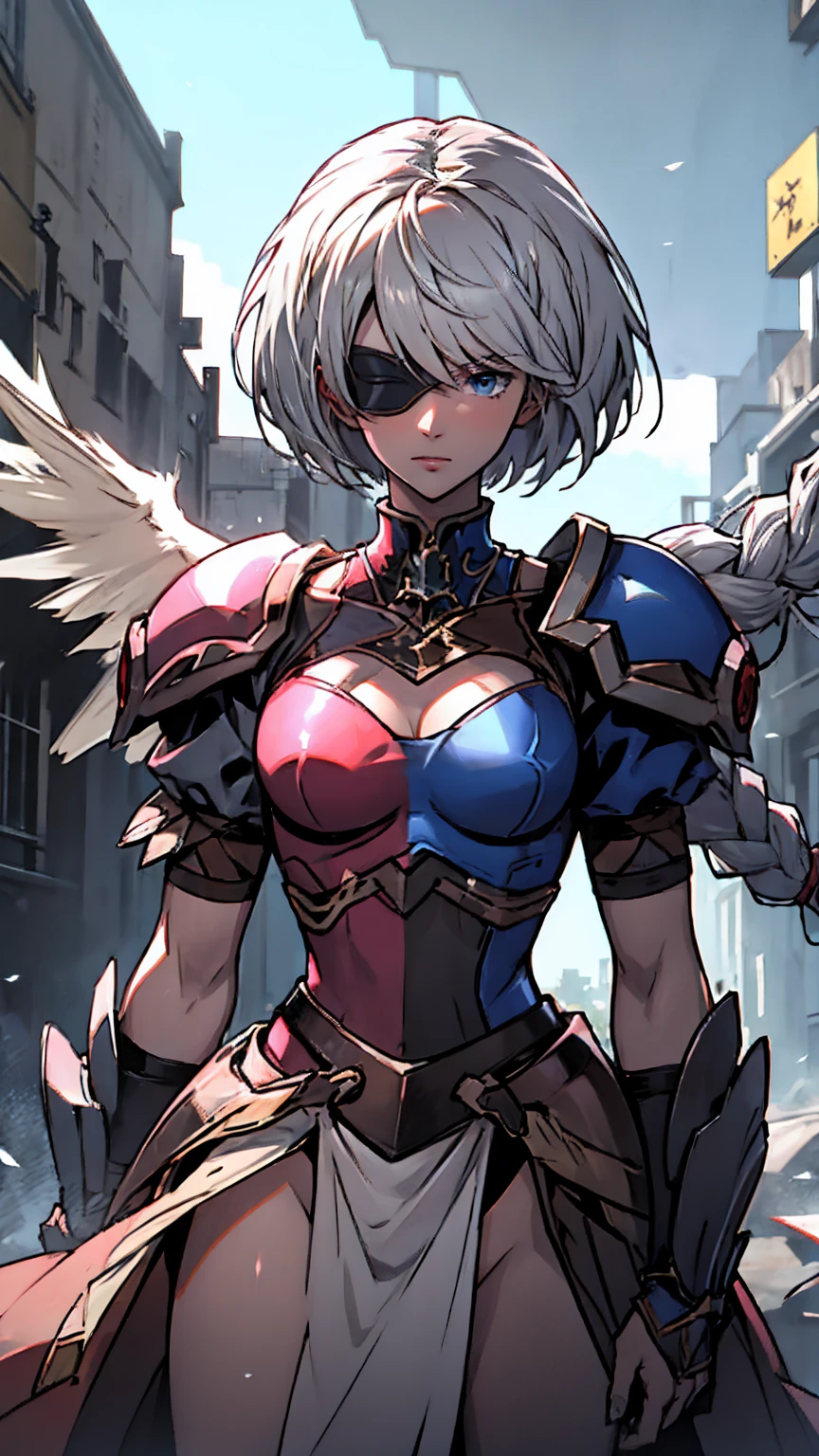 Highly detailed, High Quality, Masterpiece, beautiful,
BREAK 1girl, cowboy shot SplitScreen, split screen, "2B", short black skirt, black blindfold, white hair, (short bob cut), BREAK 1girl, cowboy shot, SplitScreen, split screen, "Lenneth", blue plate armor, winged helmet, long white hair, (single braid),LennethVP, armored dress