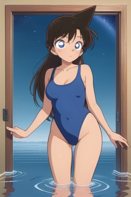 (masterpiece, best quality, detailed:1.5), 1girl, open door, night sky inside frame, standing in water, futurama style,black high leg swimsuit,Mouri Ran