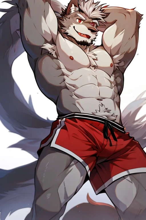 Orange background,high resolution,4K,masterpiece,high quality,35 years old,((Wolfdog)),male,((whole body:1.4,Strike a pose:1.5,Mature:1.3,Smiling face:1.4)),WolfdogFurry,(Uncle figure:1.5,hairy),((Moderate:1.2)),((Strong body:1.5,Long legs:1.3,big ear:1.3,Thick long tail,((No clothes,Wearing white)),(((Red head:1.4,White neck:1.3,Red eyes:1.3,White chest:1.3,White belly:1.3,Red back of hand:1.3,Red and white tail:1.3,Crotch bulge))),Delicate eyes:1.6,Fine details,Detailed body,(Detailed hand details:1.4)