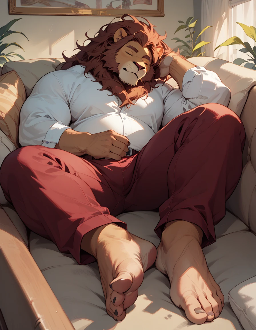 big, furry, muscular male, lion, mane hair, old man, sleeping in a sofa, barefoot, caloused feet, dirty feet, burgundy pants, sole visible, foot focus