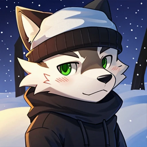 personality、many people、Frey、、man、White fur、Black sweater with winter hat、green eyes、wolf、ذيل الwolf、clarification、Black pants
