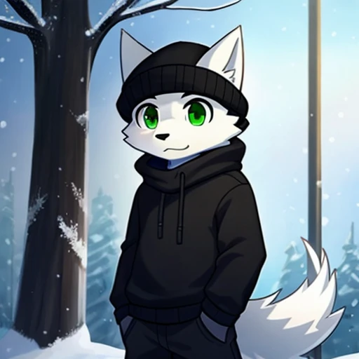 personality、many people、Frey、child、man、White fur、Black sweater with winter hat、green eyes、wolf、ذيل الwolf、clarification、Black pants
