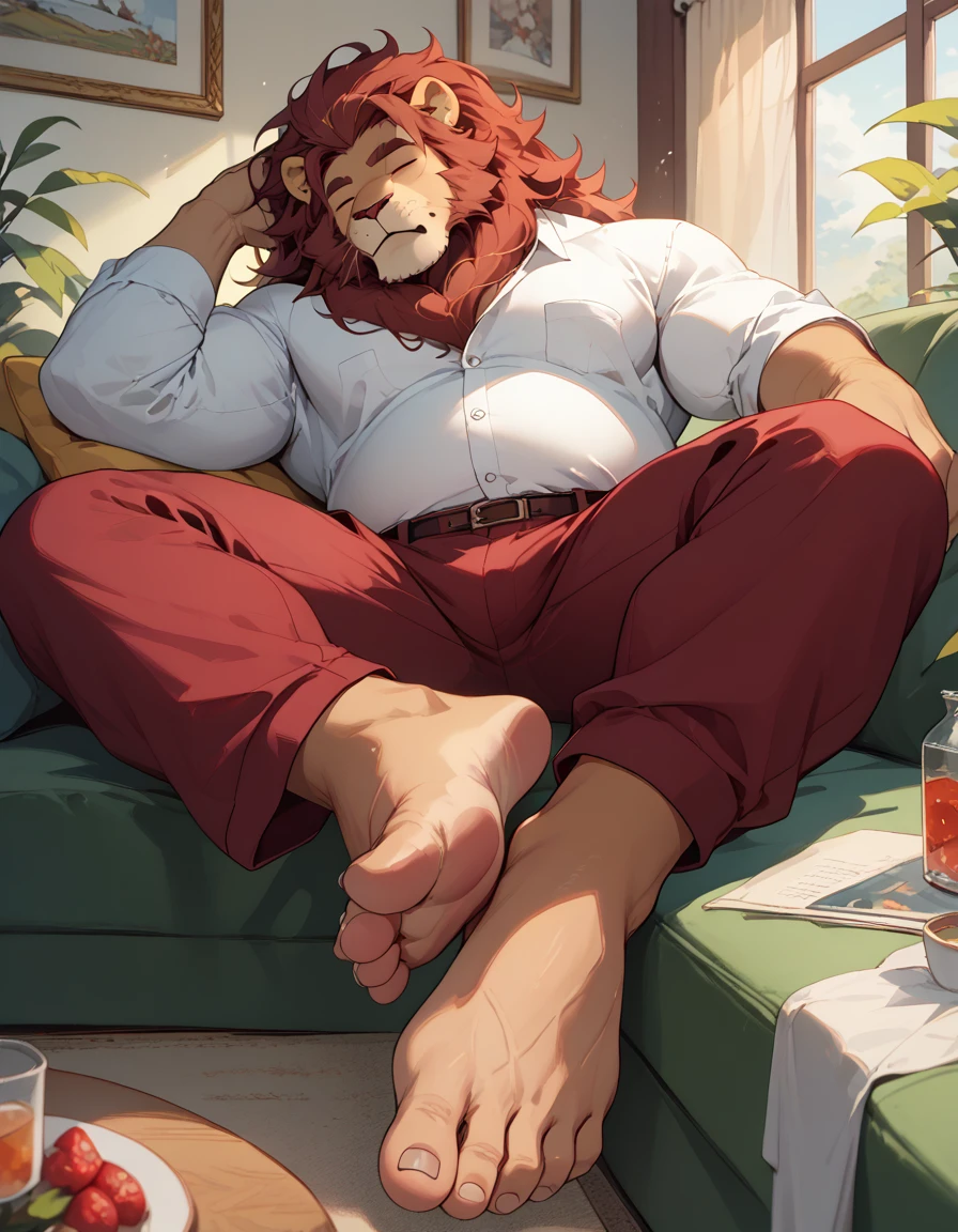 big, furry, muscular male, lion, mane hair, old man, sleeping in a sofa, legs on armrest, barefoot, caloused feet, dirty feet, burgundy pants, sole visible, foot focus