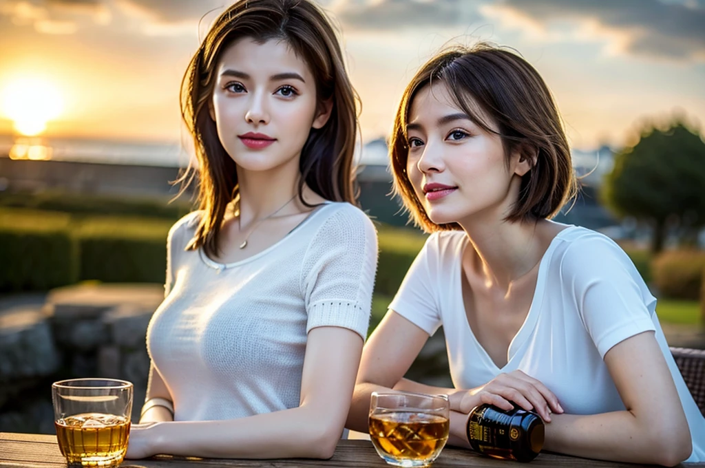 photorealestic，The background is clean，Two ordinary modern Chinese middle-aged women，in the dining room，Clink，drinking beer