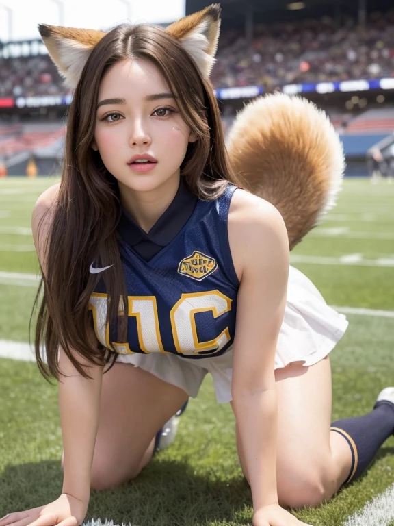 ((Highest quality, 8k)), ((masterpiece)), (Highest Resolution), Perfect Face, fox-eared woman, Female college student, Beautiful woman, Photographed in the american football stadium, Only one tail, she has thick thighs, Her big fox tail, Her brown fox tail, She wags her tail, Fur collar, She is wearing football uniform, Plump Breasts, Beautiful Hips , Her fox tail sticks out, On all fours
