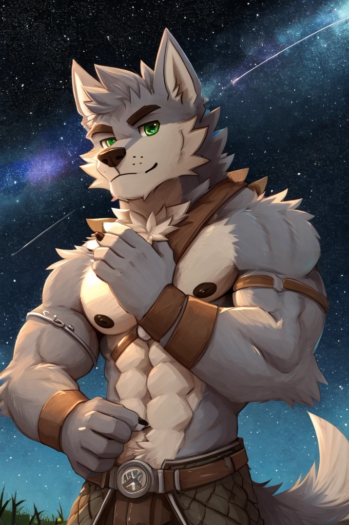 (great quality), lobo, alone, detailed face, detailed body, 5 fingers, Detailed hands, green eyes, detailed eyes, short hair, 2 arms, whole body, ((creative pose to draw it)), to the screen, ((starry background)), ((Whole body)), ((Posing)), por pache riggs