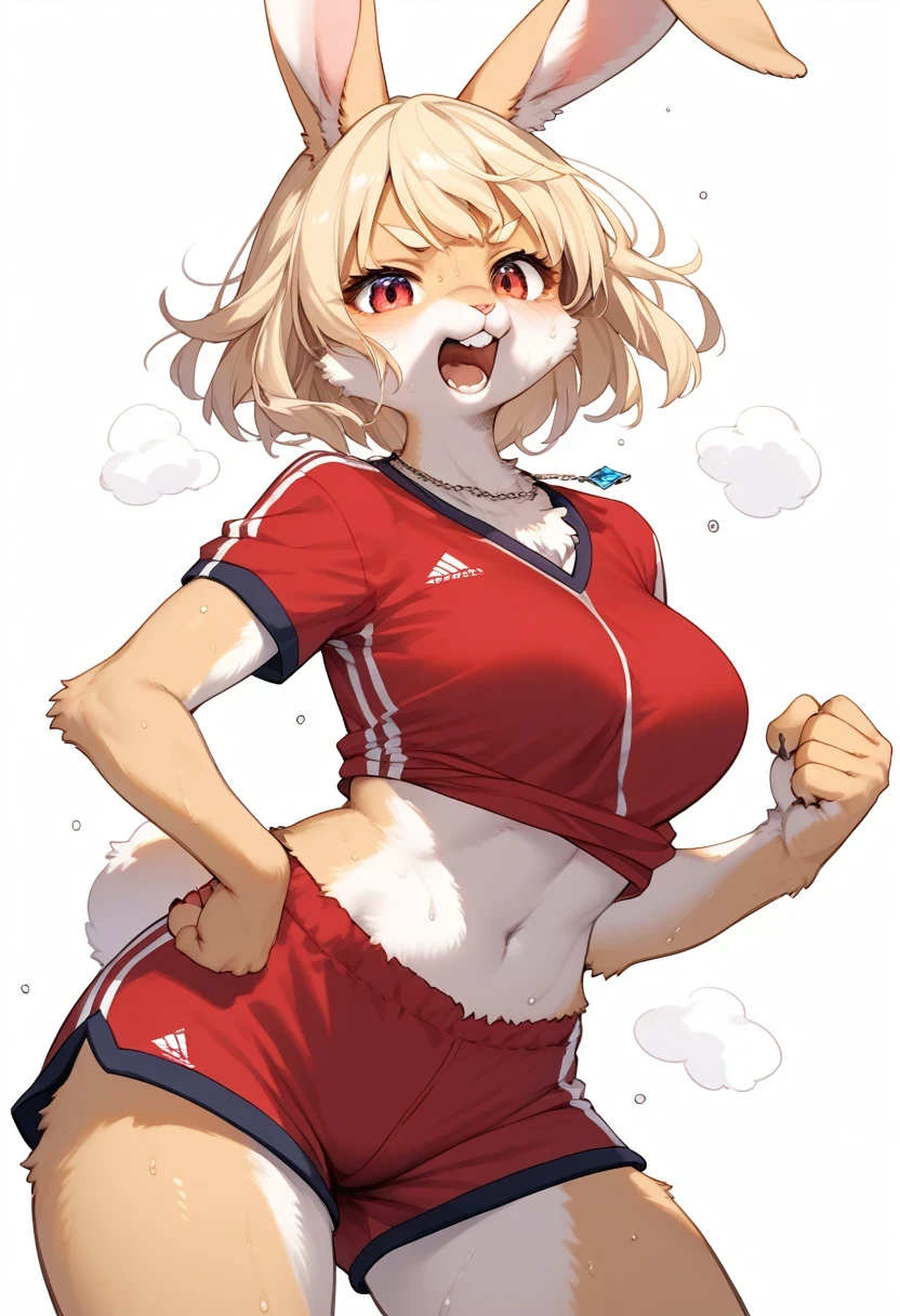 score_9, score_8_up, score_7_up, score_6_up, score_5_up, score_4_up, source_anime, source_furry, best quality, masterpiece, 1 female, (anthropomorphic Rabbit, furry, kemono), female focus, solo, sportswear, blonde hair, open mouth, white background, short hair, simple background, shirt, clenched hand, red shirt, shorts, sweat, red shorts, necklace, jewelry, short sleeves, teeth