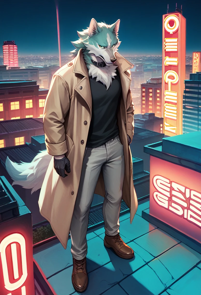 score_9, score_8_up, score_7_up, shirou ogami, wolf anthro, trenchcoat, black shirt, collar, gloves, grey pants, brown shoes, standing on top of building, rooftop, detailed background, neon lights, city