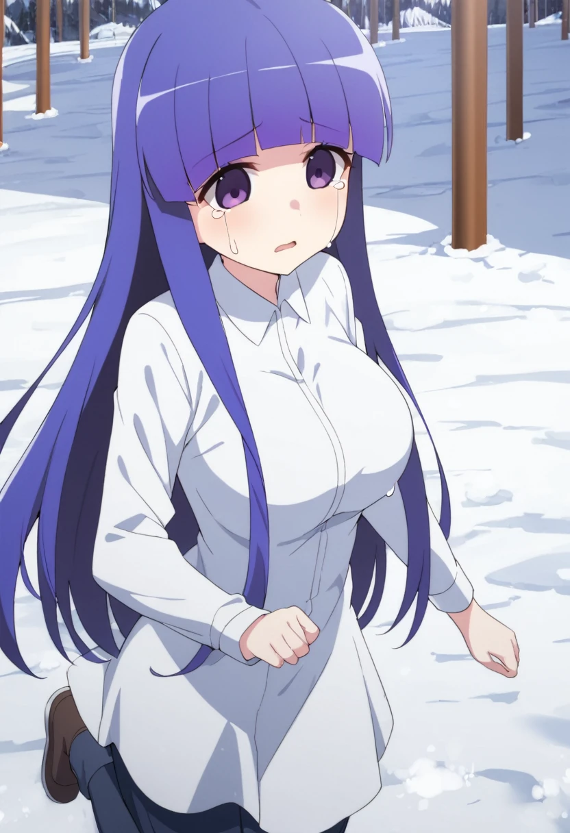 1girl, , furuderika, long hair, purple eyes, blue hair, blunt bangs,,　　, empty eyes , large breasts, , Running, ,, Heavy snowfall area　frozen , mountain Alone, crying, , solo, 1girl,　amusement park ,, 