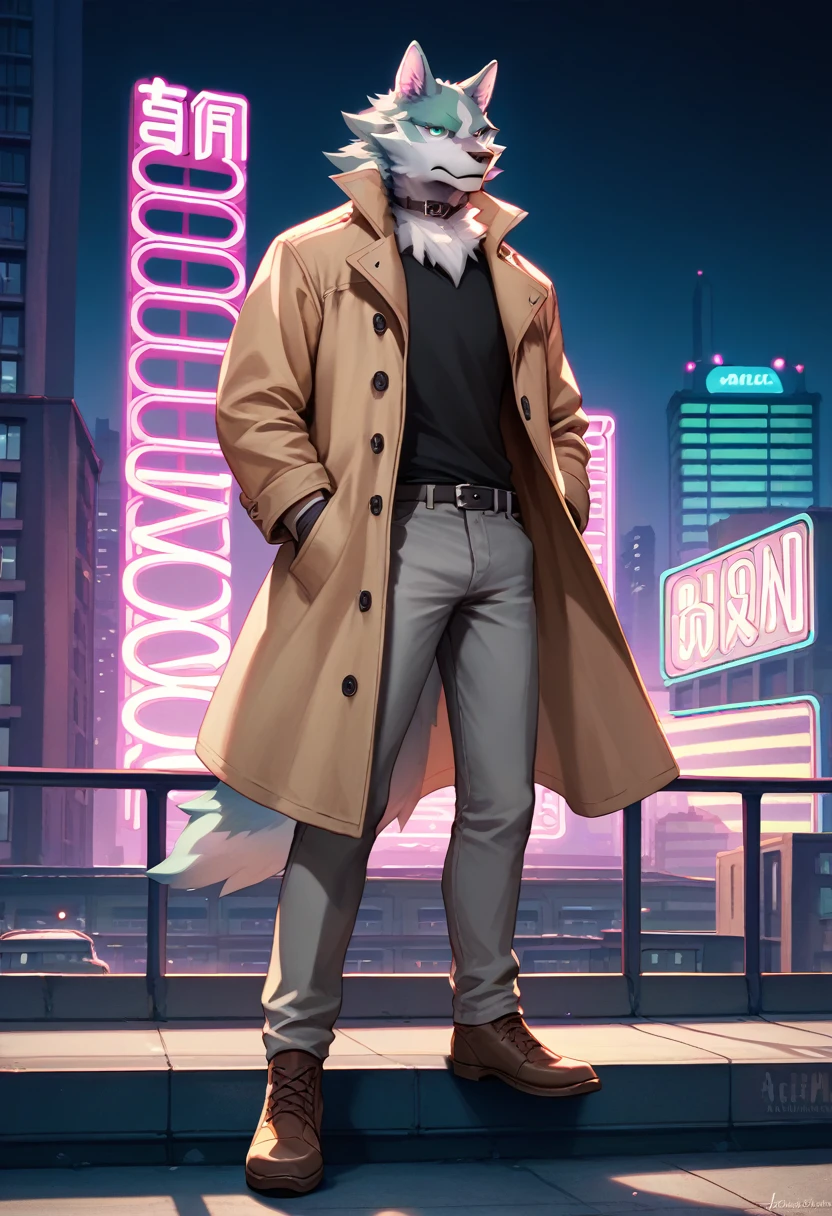 score_9, score_8_up, score_7_up, shirou ogami, wolf anthro, trenchcoat, black shirt, collar, gloves, grey pants, brown shoes, standing on top of building, rooftop, detailed background, neon lights, city