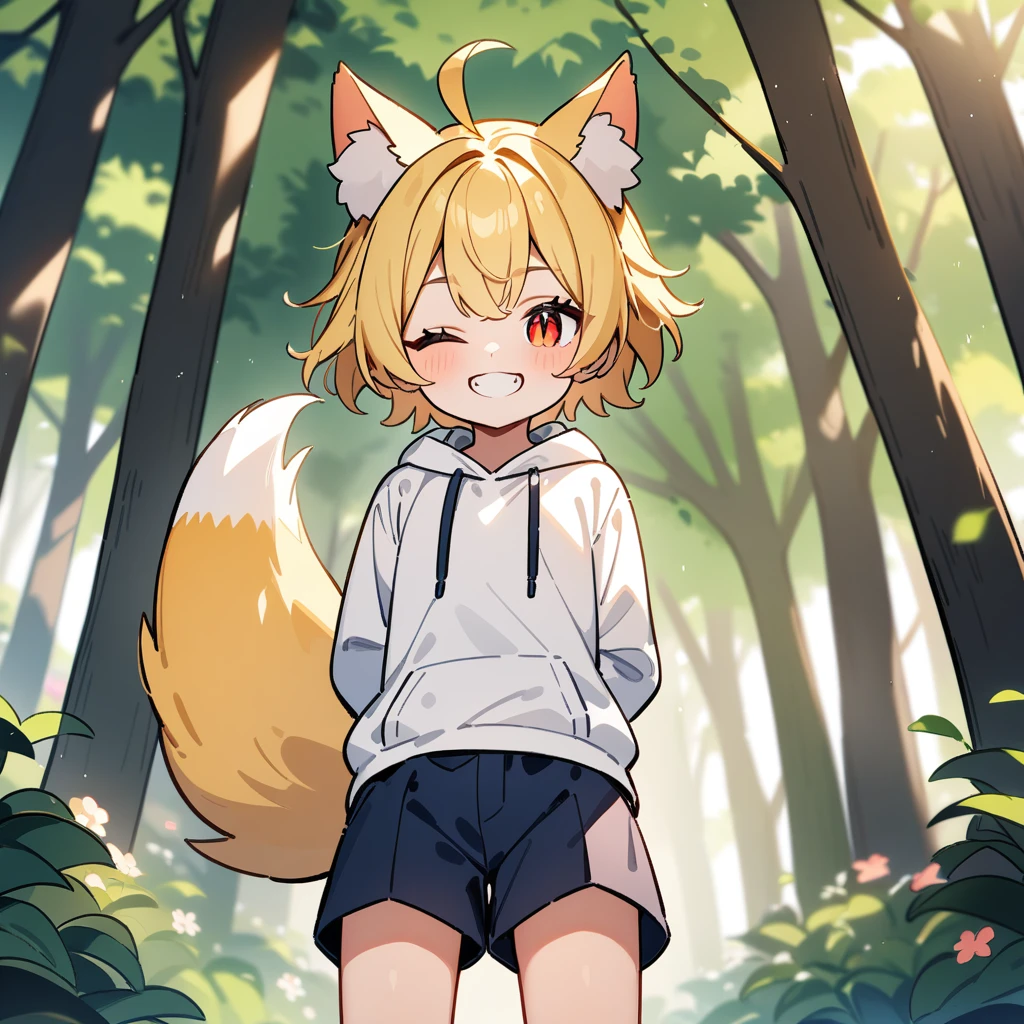 （masterpiece：1.2，high quality），8k，High resolution，A seven-year-old boy，cute boy，blonde hair，short hair， red eyes，one eye closed，slit pupils， ahoge，cat ears，teeth，smile，Wearing a white hoodie，Dark blue shorts，Stand in the forest，There are flowering trees on both sides.，primary school student，thigh，fox tail，alone，((Hands behind your back))