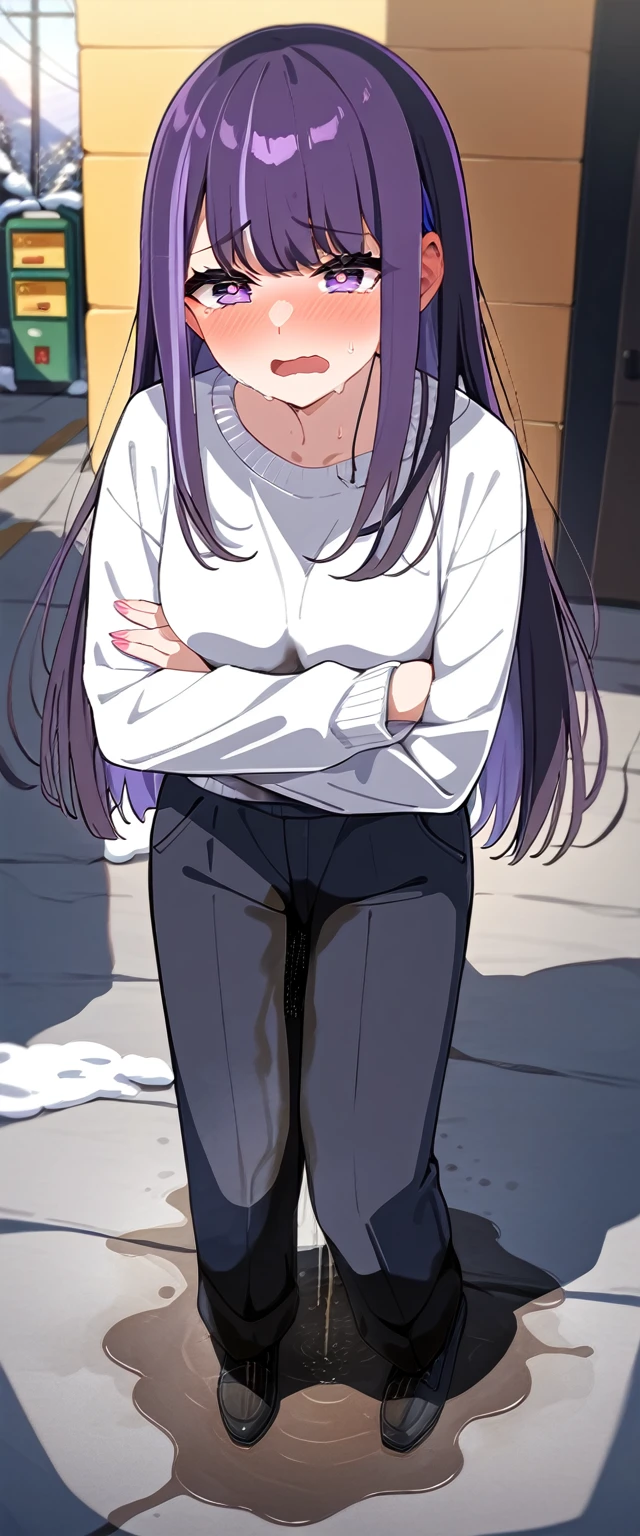 (masterpiece:1.37), best quality, (extremely detailed:1.37) woman, (adult:1.5), (very long hair:1.5), dark purple hair, purple eyes, (extremely detailed eyes:1.37), breasts, hoodie, jeans, (wetting herself:2.0), standing straight, full body day, daytime, glow, facing viewer, perfect composition, full body, city, street