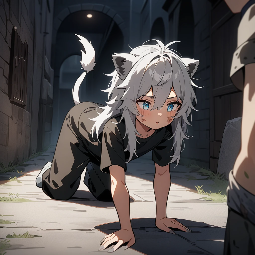 ((masterpiece)), ((extremely delicated and beautiful)), ((best quality)), ((anime style)), 1boy, cute, very young, rags, long fingernails, Feral, on all fours, calm, close mouth, messy hair, glare, demi-human, grey hair, long hair, grey lion ears, grey lion tail, small scars on face, trying to look scary, Fantasy, isekai world, dark alley scenery, eyes glowing in darkness