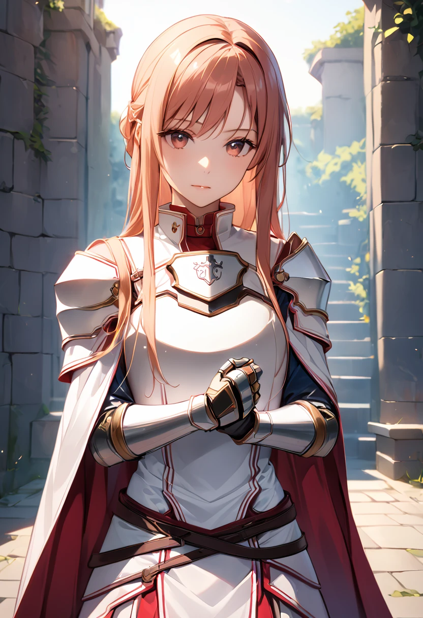 ((masterpiece)), Highest quality, Very detailed,(1 person&#39;S), Yuuki as a costume, Long Hair, bangs, Brown Hair, Brown eyes, very Long Hair, Braiding,
dress, Cape, armor, white dress, Shoulder armor, Gauntlet, Scapula, chest当て, armored dress, Fail, white Cape, [knight, white armor, body armor,
 Long Hair, Beautiful background ,clothing,  chest, 