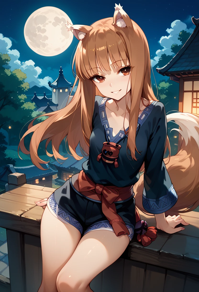 masterpiece,High resolution,Best Quality,8k
(Holo,Spice and Wolf)
(Skinny,Small breasts,Animal ears and tail)(Ninja clothing)Japanese Castle,On the roof,night,full moon