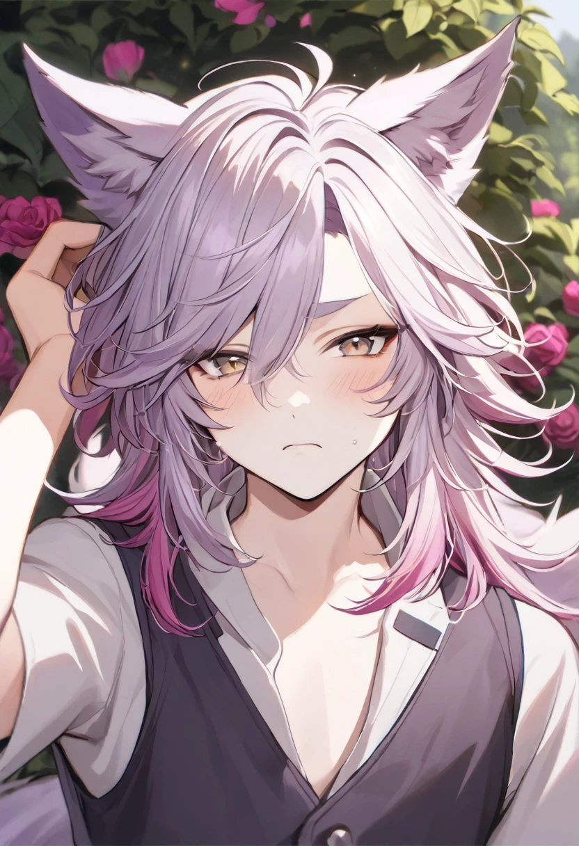 Human-Wolf Hybrid, Male r, Light Tan-Ish Skin, Magenta Hair With Dark Blue Streak Over Bangs, Short Fluffy Haircut With Side-Swept Bangs, Big Pointy Wolf Ears, Magenta Pink Wolf Tail, Light Brown Eyes, Thick Dark Pink Eyebrows, Purple Moon Tattos On Cheeks, Head Tilted To The Side Slightly, Eyes Half Closed, Looking At The Viewer, Nervous Expression, Soft Blush, Holding Arm Up With Fingers Brushing Through Hair, Light Lavender Short-Sleeved Shirt With Gray-Ish Purple Over-Vest, Lavender Wristbands, Dark Gray-Ish Purple Pants, Outdoors Background, Garden Landscape, Surrounded By Roses, Upperbody Headshot, Portrait, High Picture Quality, Ritch Detail.