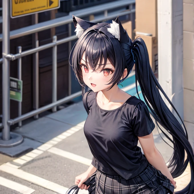 masterpiece, best quality, highres, miosha1, hairclip, side braid, ponytail, wolf tail, breasts, high-waist skirt, black skirt, white shirt, necklace, sleeveless shirt, <lora:ookami_mio_v1:0.8>, cowboy shot, standing, street,