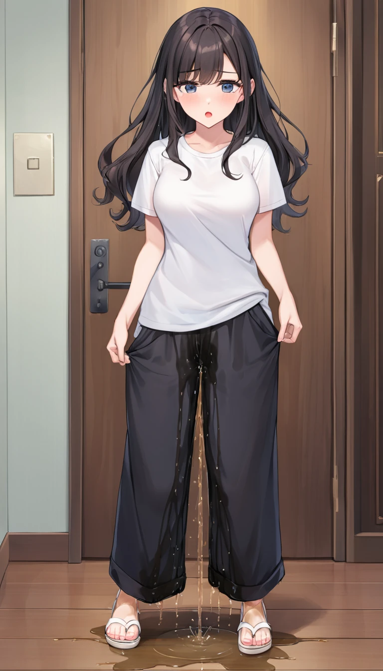 ((best quality, masterpiece:1.3, 8K)), (detailed), highly detailed face and skin texture, detailed eyes, full body, standing, indoor, summer, 1girl, (solo), (1), white skin, bright lips, worried, embarrassed, panicking, long hair, classic outfit, (white colors T-shirt, long black wide pants:2), (((wetting herself:1.8))), desperation:1.2,