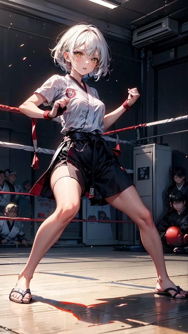 ((Girl, kick, karate uniform )) , (masterpiece, best quality, ultra detailed), (( cinematic lighting, ultra HD, 8k wallpaper, absurdres, )), (( closeup of body, )), tatami , (kicking, high kick, spreading legs, battle, ), (ceiling, ), from Below