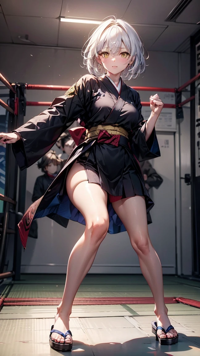 beautiful female martial artist、brown hair up style、((whole body))、(((photo taken from below)))、dojo