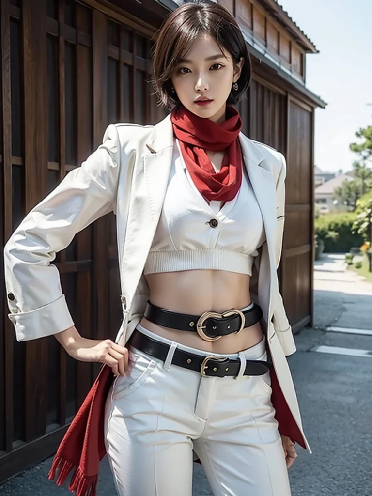 Master Parts, Best Quality, expensive, Hmm, Short Hair, Black Eyes, Bra very, Lower body wear, swim scarf, emblem, Belt Bag, Thigh straps, Red scarf, White pants, Brown jacket, Short sleeve, sword, Outside the house